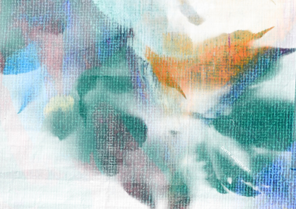 Birdsong (c) Gwyn Ardyth