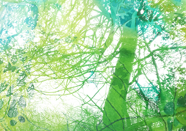 Fairy Tree (c) Gwyn Ardyth