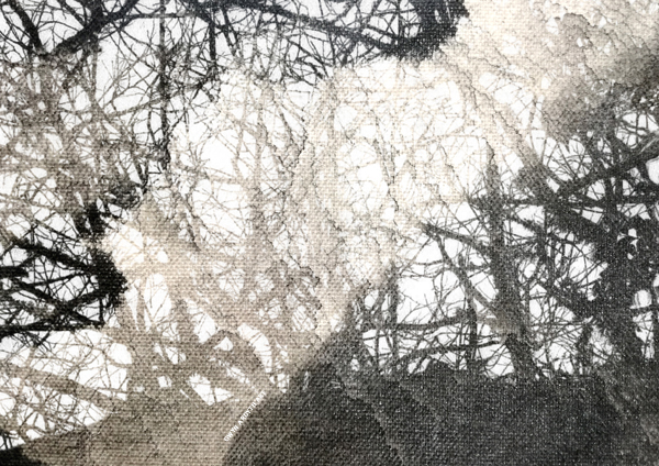 Ghost (c) Gwyn Ardyth