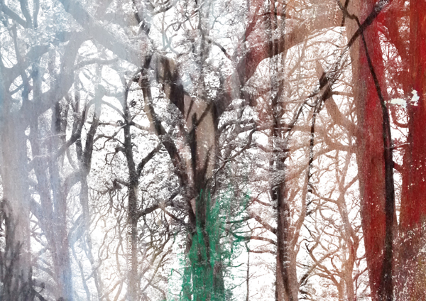 Holford Combe Dryad (c) Gwyn Ardyth