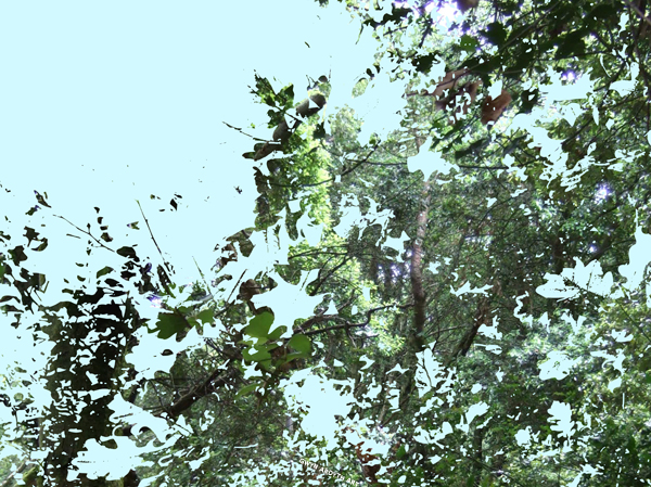 Now & Then (c) Gwyn Ardyth