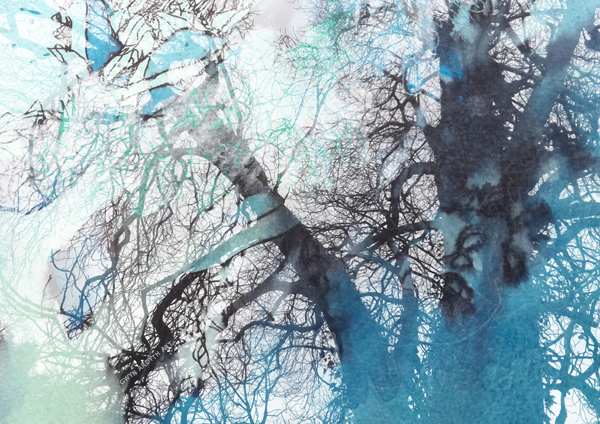 The Healer (c) Gwyn Ardyth